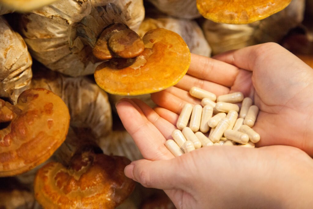 ¿Qué suplementos de hongos se recomiendan para estudiantes?