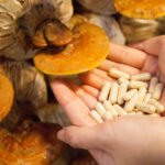 ¿Qué suplementos de hongos se recomiendan para estudiantes?